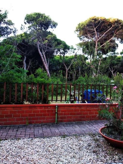 Apartment Casetta Lungomare