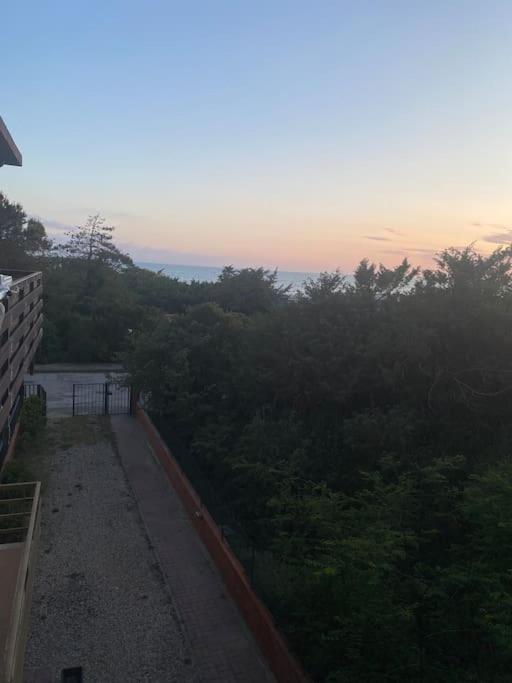 Apartment Casetta Lungomare